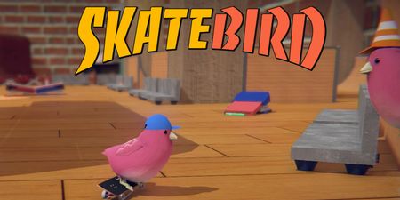 بازی SkateBIRD