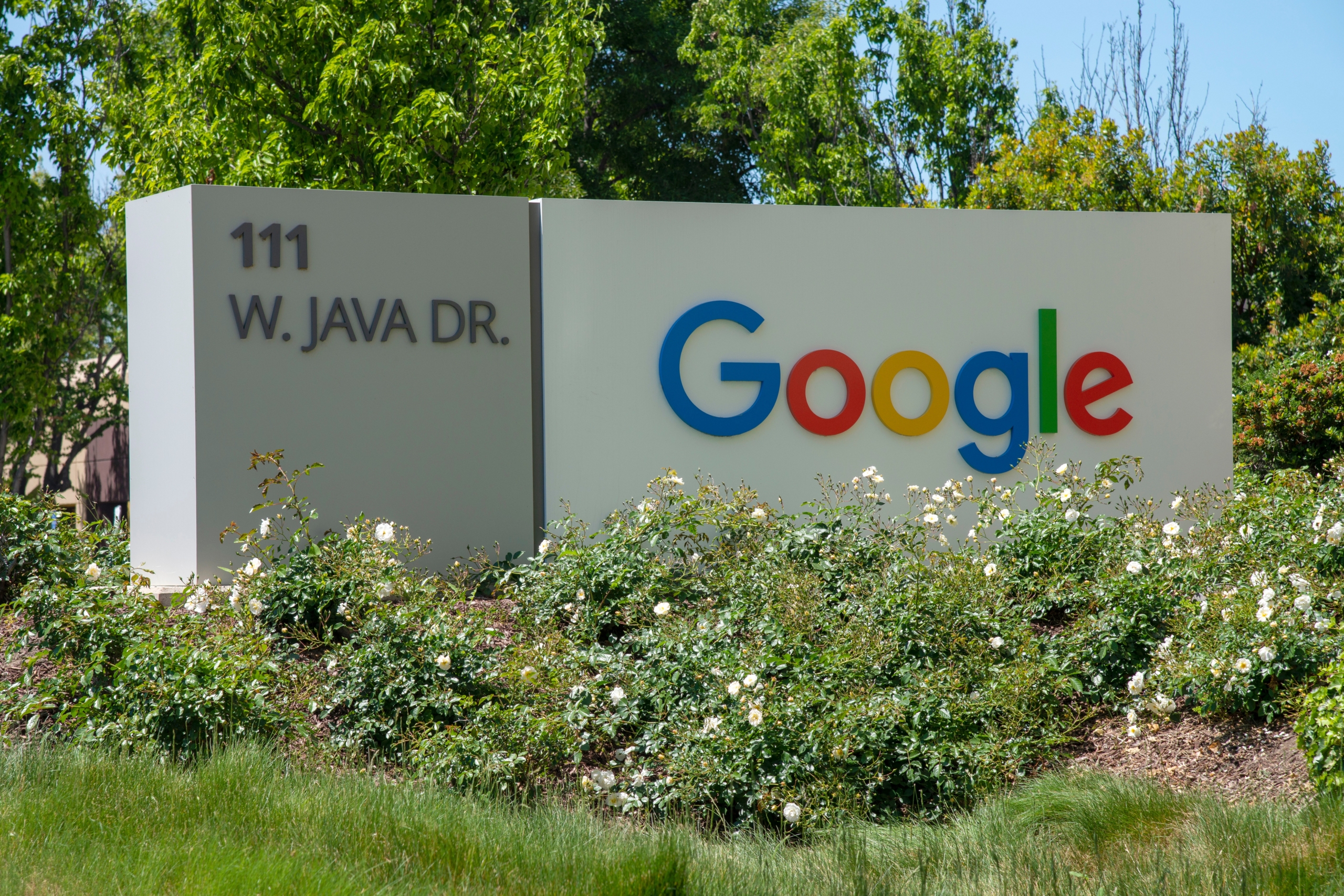 گوگل کارکنانی که واکسینه نشده اند را اخراج می کند