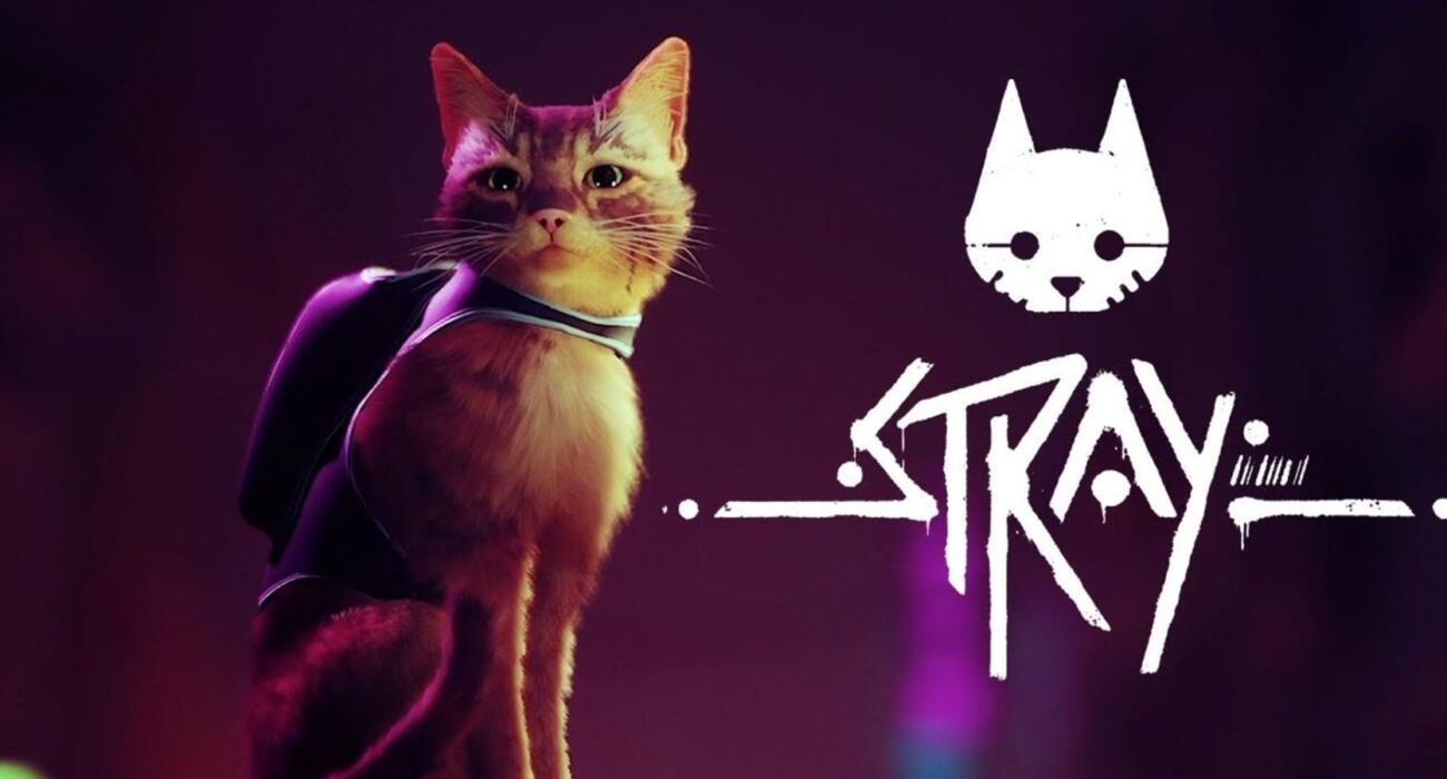 پیش‌نمایش بازی Stray: فرصت جذاب گربه‌ شدن!