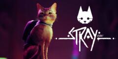 پیش‌نمایش بازی Stray: فرصت جذاب گربه‌ شدن!