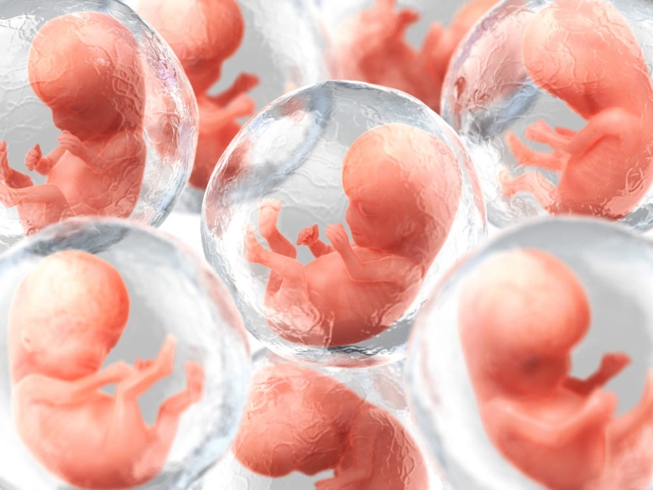 یک شرکت بیوتکنولوژی قصد دارد با DNA انسان جنین مصنوعی بسازد